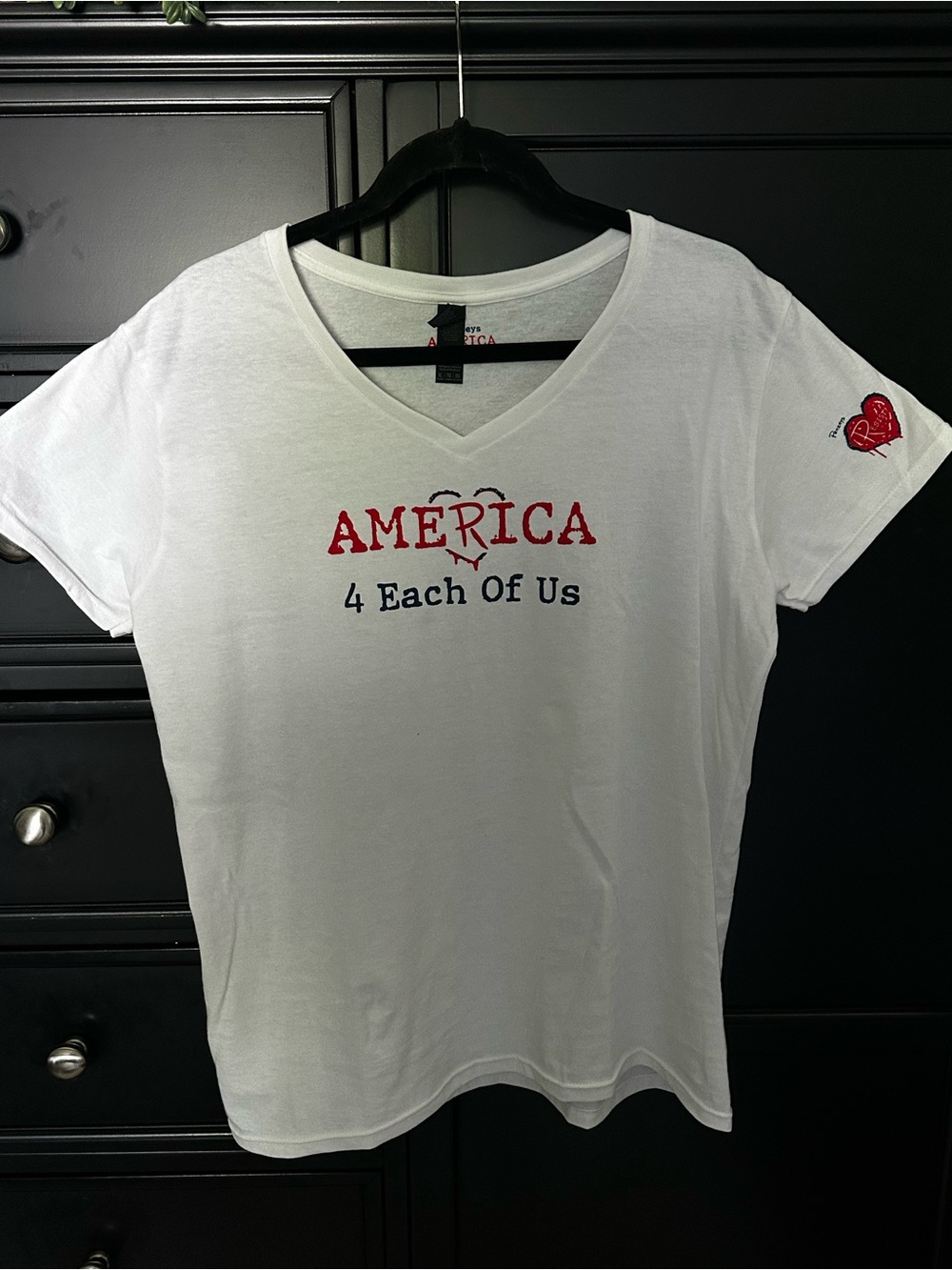 Penzey’s America 250 T-shirt